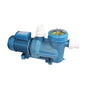 Swimming Pool PumpProfessional Wholesale Commercial Electric 800W Swimming Pool Pump