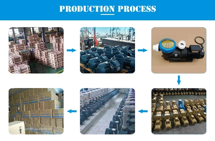 Swimming Pool PumpProfessional Wholesale Commercial Electric 800W Swimming Pool Pump